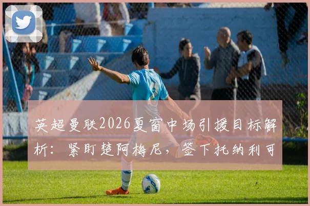 英超曼联2026夏窗中场引援目标解析:紧盯楚阿梅尼,签下托纳利可能性为何走低?